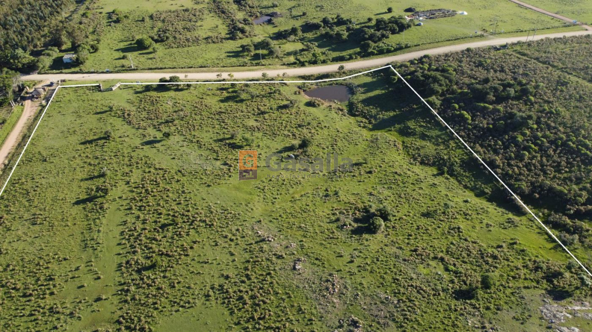 Chacra en venta   Ideal para Inversión - GoPunta - Portal Inmobiliario de Punta del Este - Maldonado