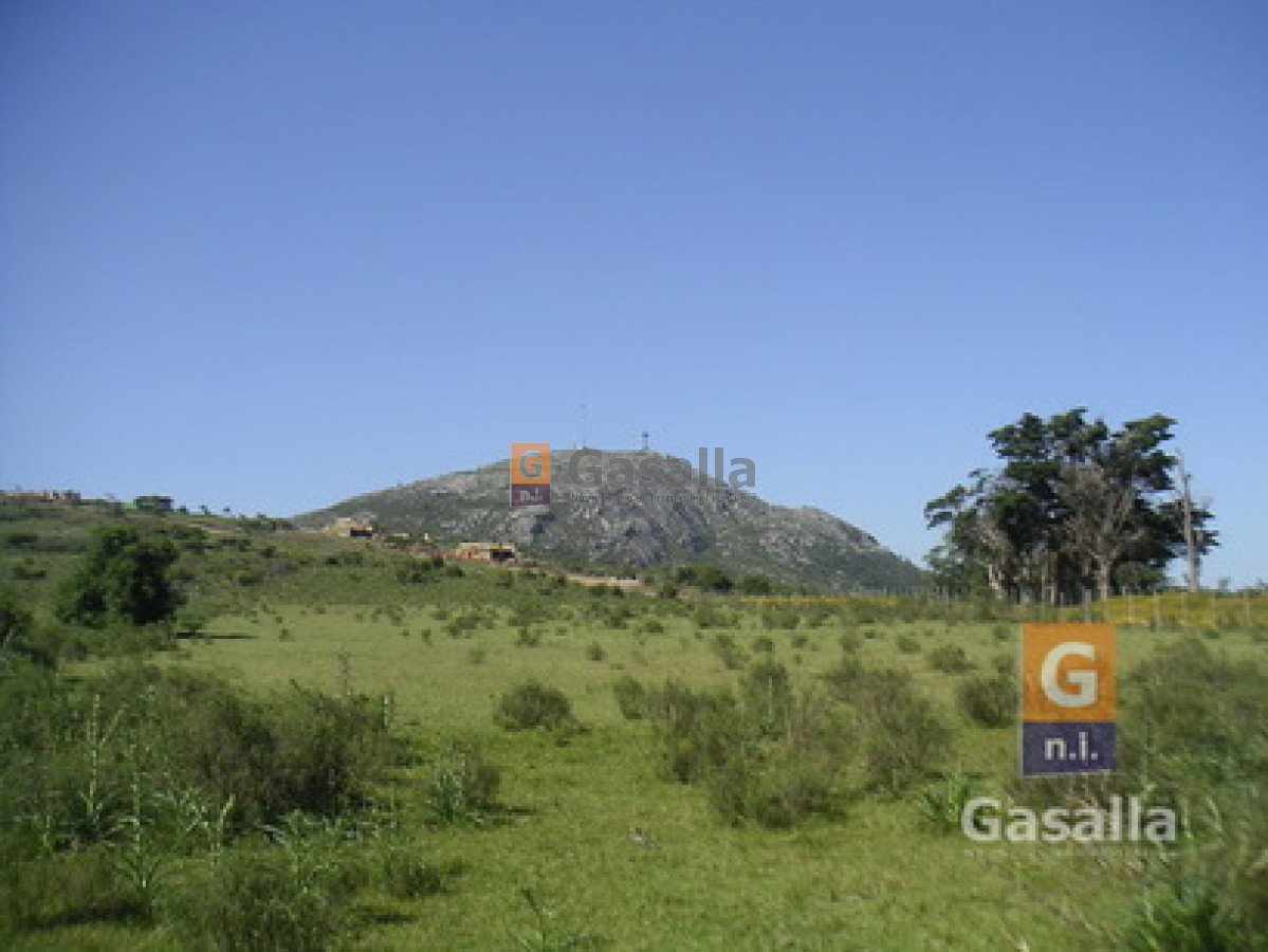 Chacra en venta   Ideal para Inversión - GoPunta - Portal Inmobiliario de Punta del Este - Maldonado