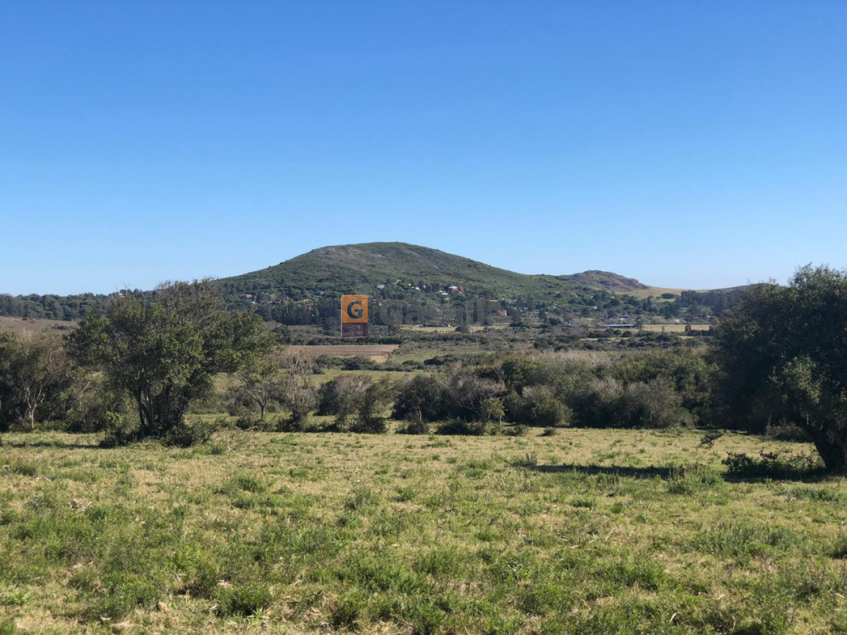 Chacra del Cerro N   31   Ruta 73 - GoPunta - Portal Inmobiliario de Punta del Este - Maldonado