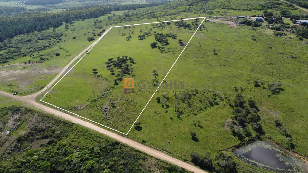 Chacra de 5 Has. en venta   Pan de Azúcar - GoPunta - Portal Inmobiliario de Punta del Este - Maldonado