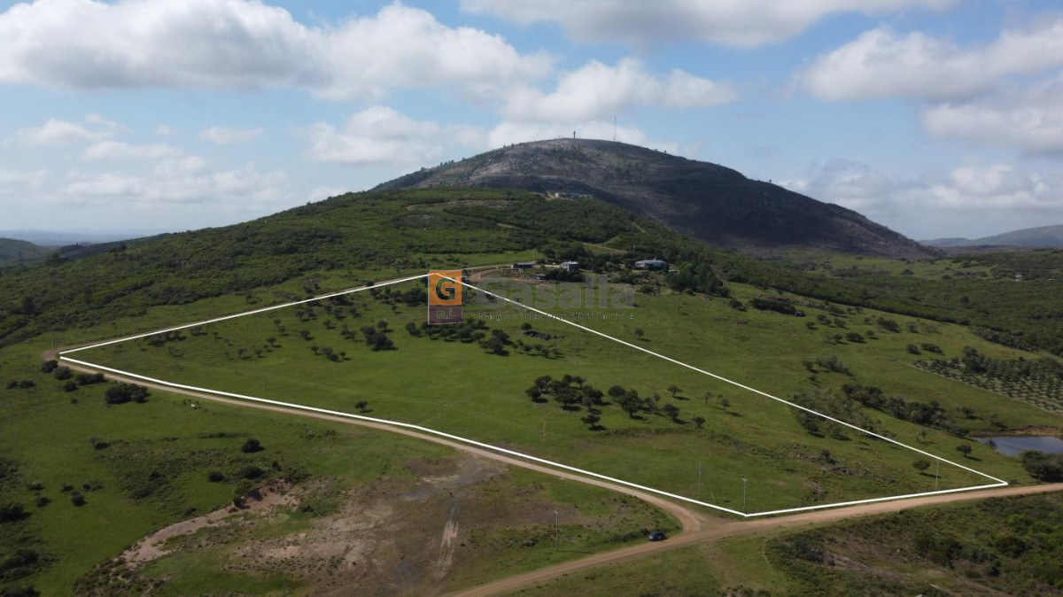 Chacra de 5 Has. en venta   Pan de Azúcar - GoPunta - Portal Inmobiliario de Punta del Este - Maldonado