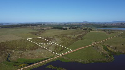 Chacra en venta - Laguna del Sauce 