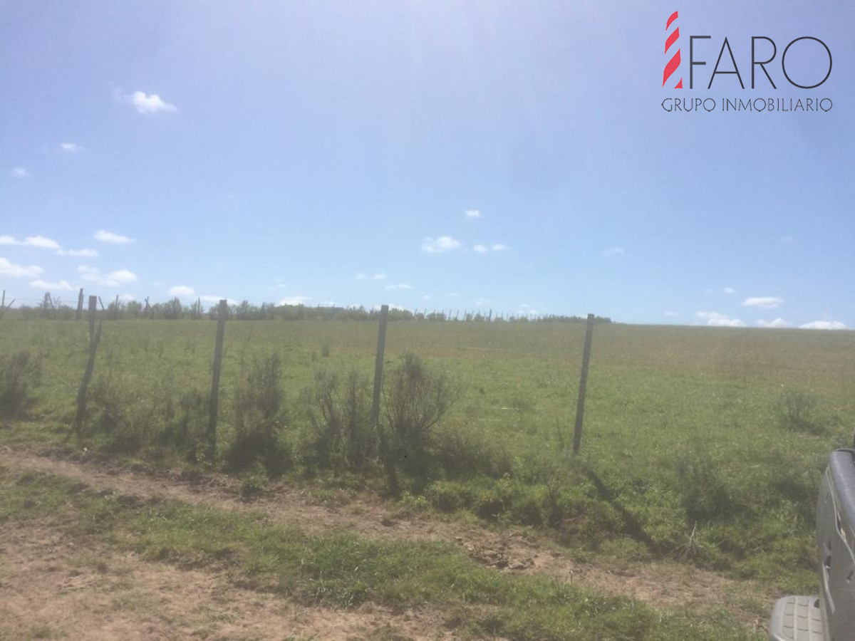 Ruta 9 - GoPunta - Portal Inmobiliario de Punta del Este - Maldonado