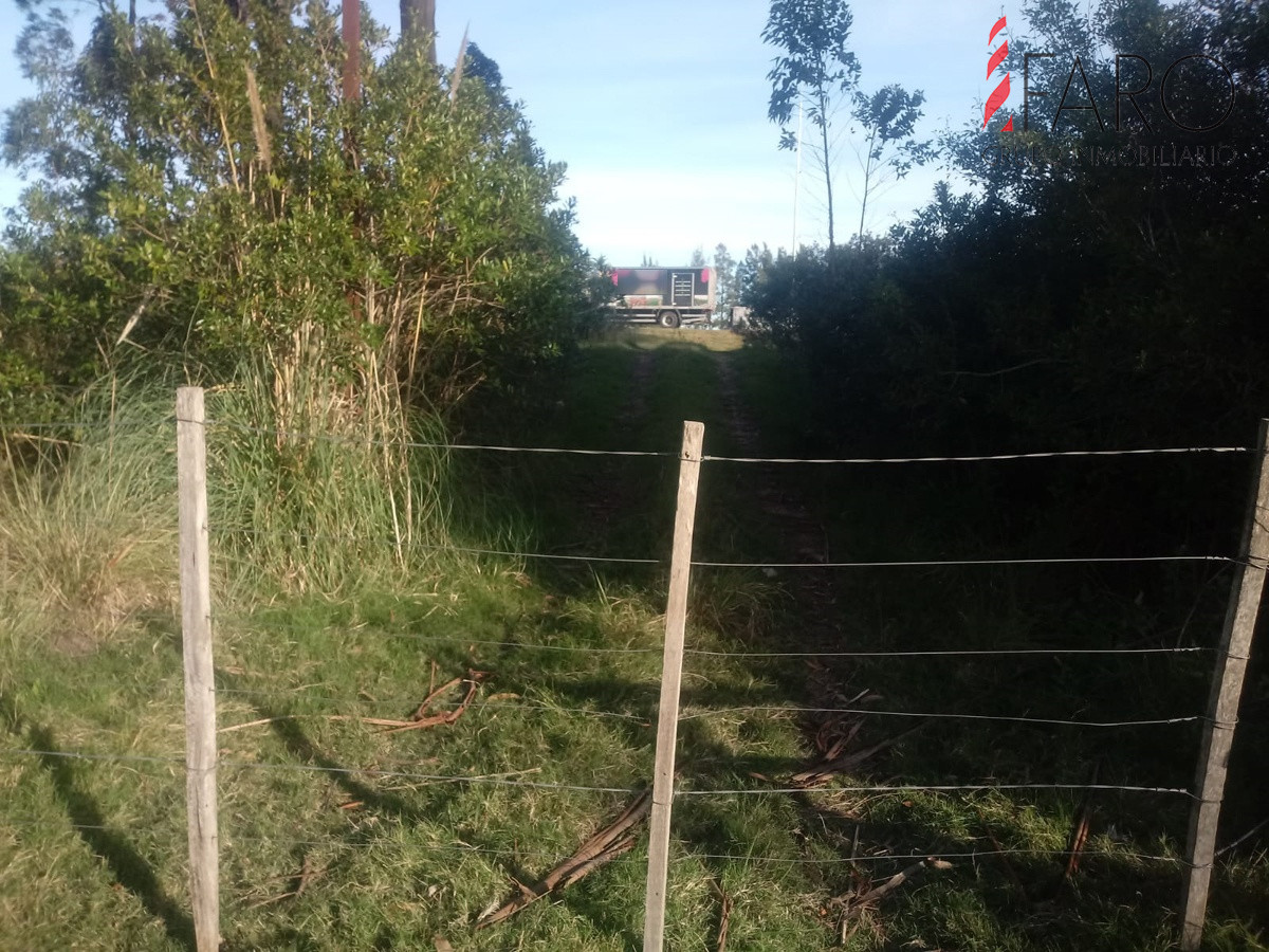 Ruta 9 - GoPunta - Portal Inmobiliario de Punta del Este - Maldonado