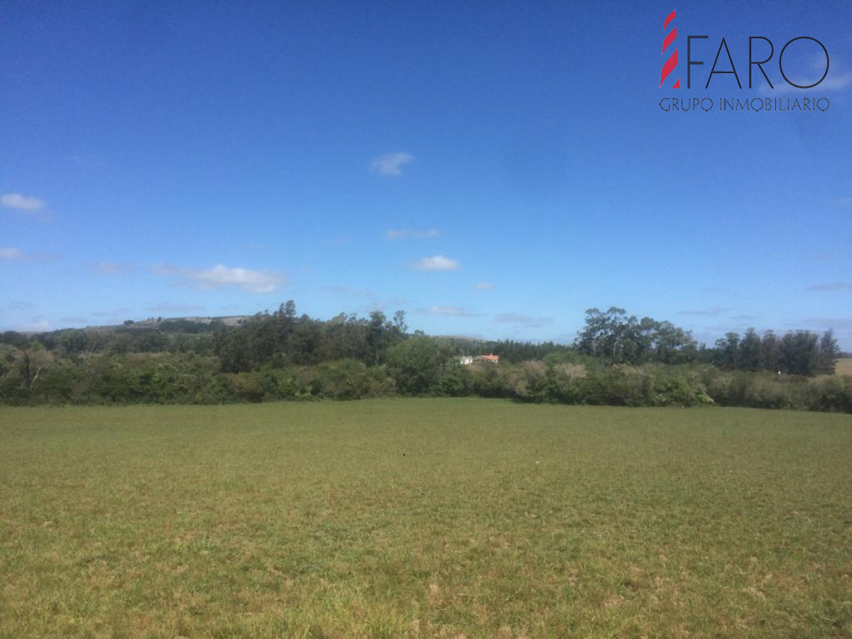 Ruta 9 - GoPunta - Portal Inmobiliario de Punta del Este - Maldonado