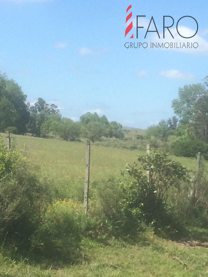 Ruta 9 - GoPunta - Portal Inmobiliario de Punta del Este - Maldonado