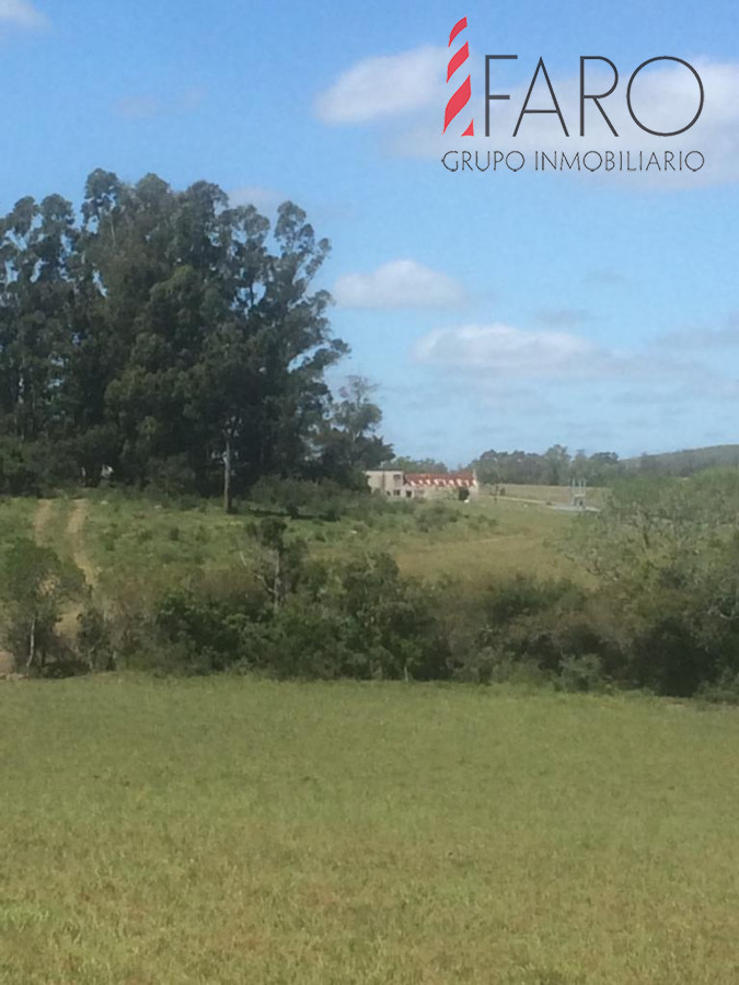 Ruta 9 - GoPunta - Portal Inmobiliario de Punta del Este - Maldonado