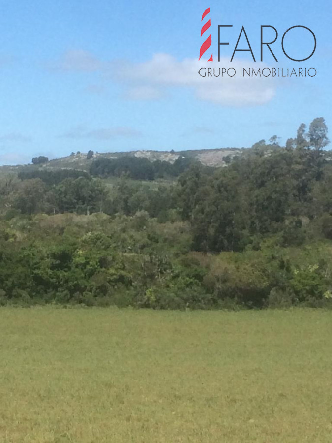 Ruta 9 - GoPunta - Portal Inmobiliario de Punta del Este - Maldonado