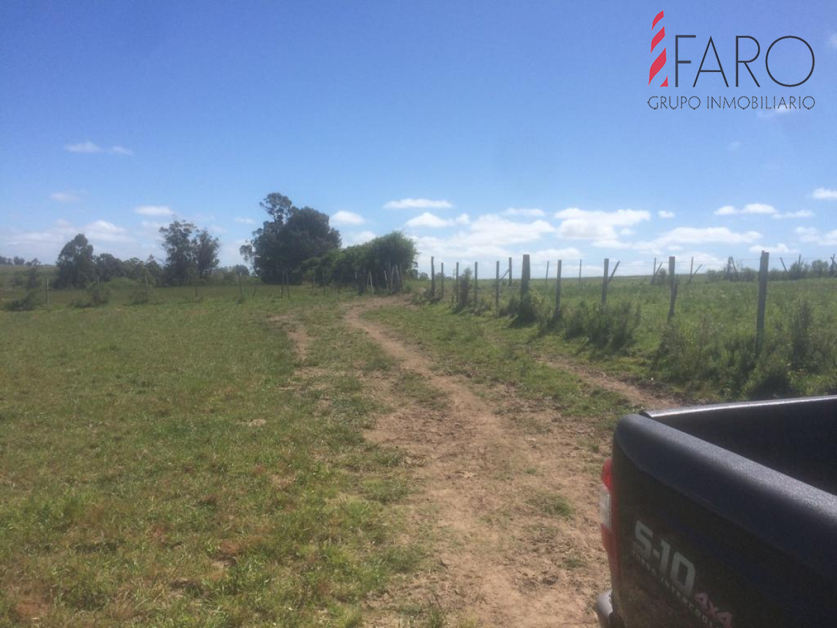 Ruta 9 - GoPunta - Portal Inmobiliario de Punta del Este - Maldonado