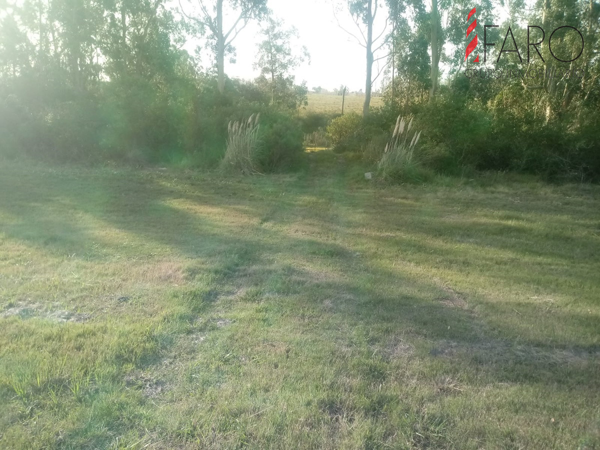 Ruta 9 - GoPunta - Portal Inmobiliario de Punta del Este - Maldonado