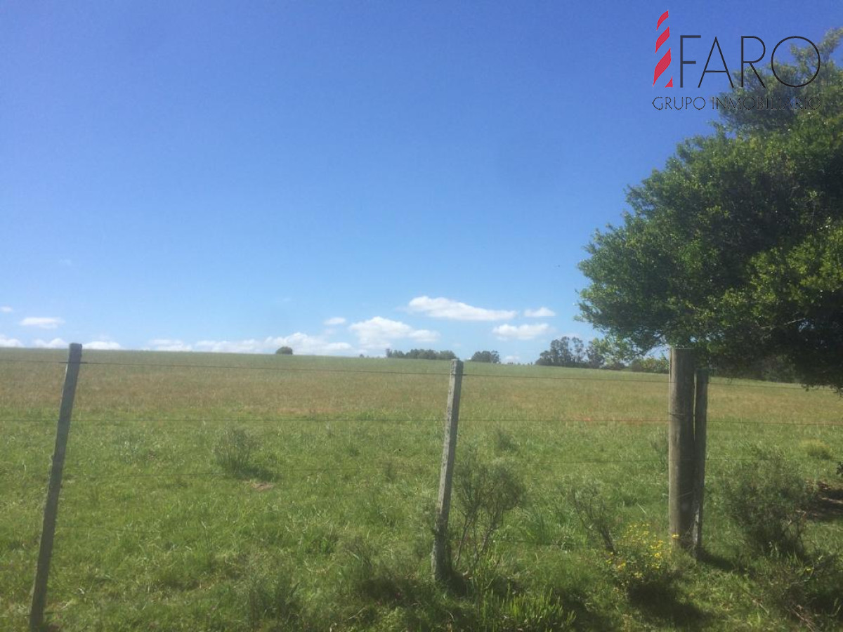 Ruta 9 - GoPunta - Portal Inmobiliario de Punta del Este - Maldonado
