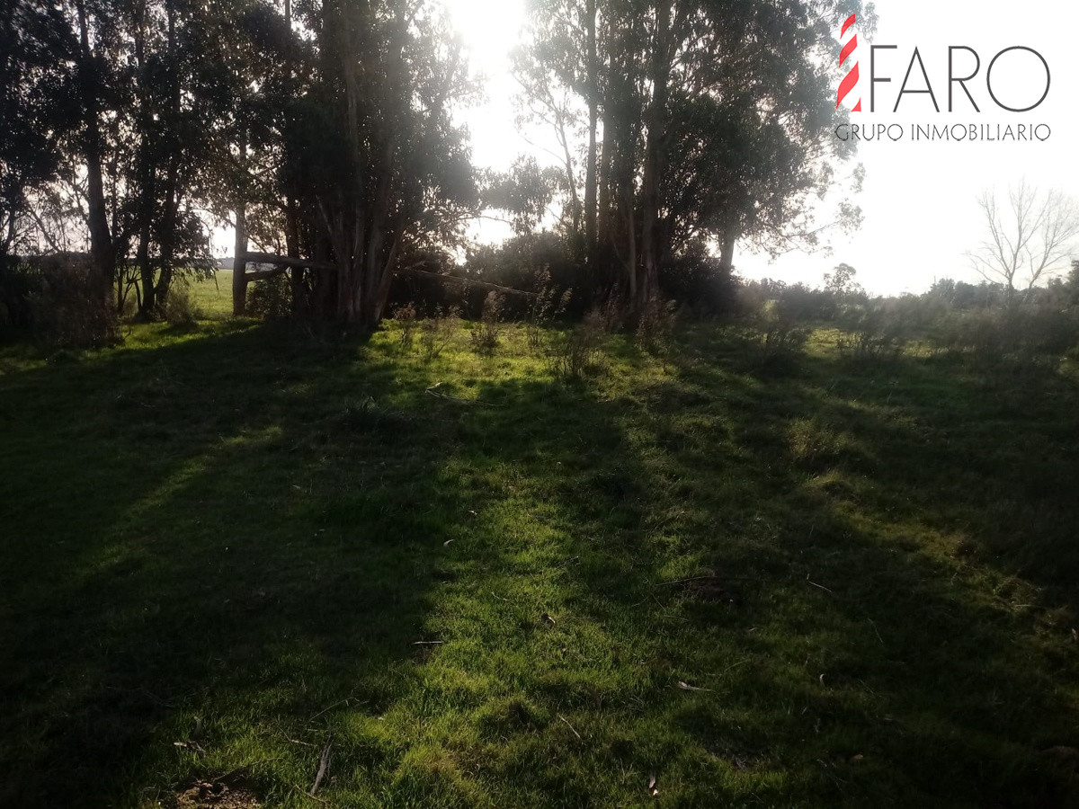 Ruta 9 - GoPunta - Portal Inmobiliario de Punta del Este - Maldonado