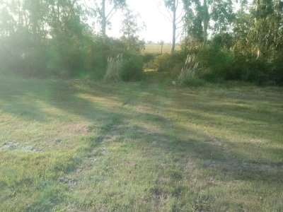 Chacra en Venta en Ruta 9 de 5 hectáreas