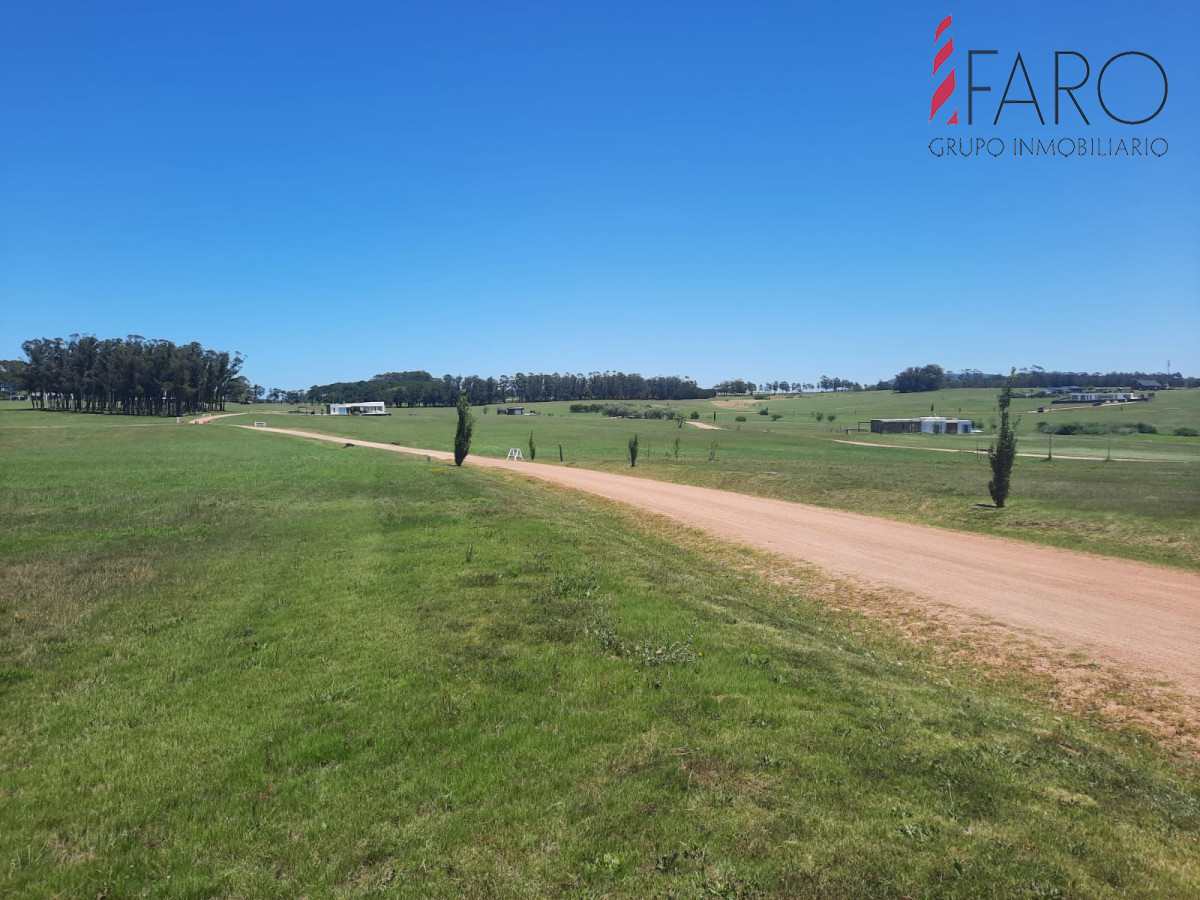Laguna de los Cisnes - GoPunta - Portal Inmobiliario de Punta del Este - Maldonado