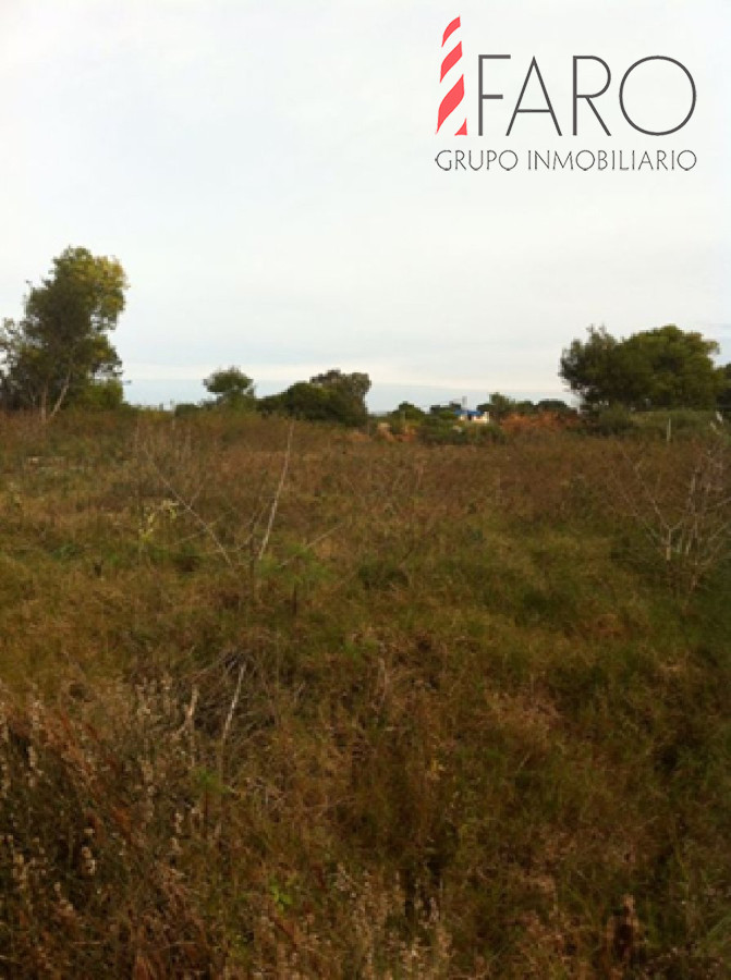 Balneario Buenos Aires - GoPunta - Portal Inmobiliario de Punta del Este - Maldonado