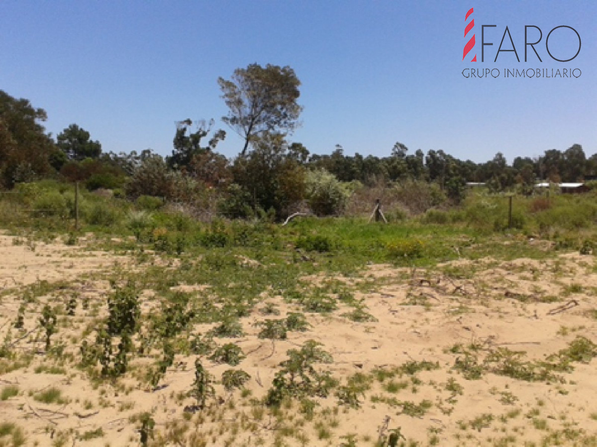 Balneario Buenos Aires - GoPunta - Portal Inmobiliario de Punta del Este - Maldonado