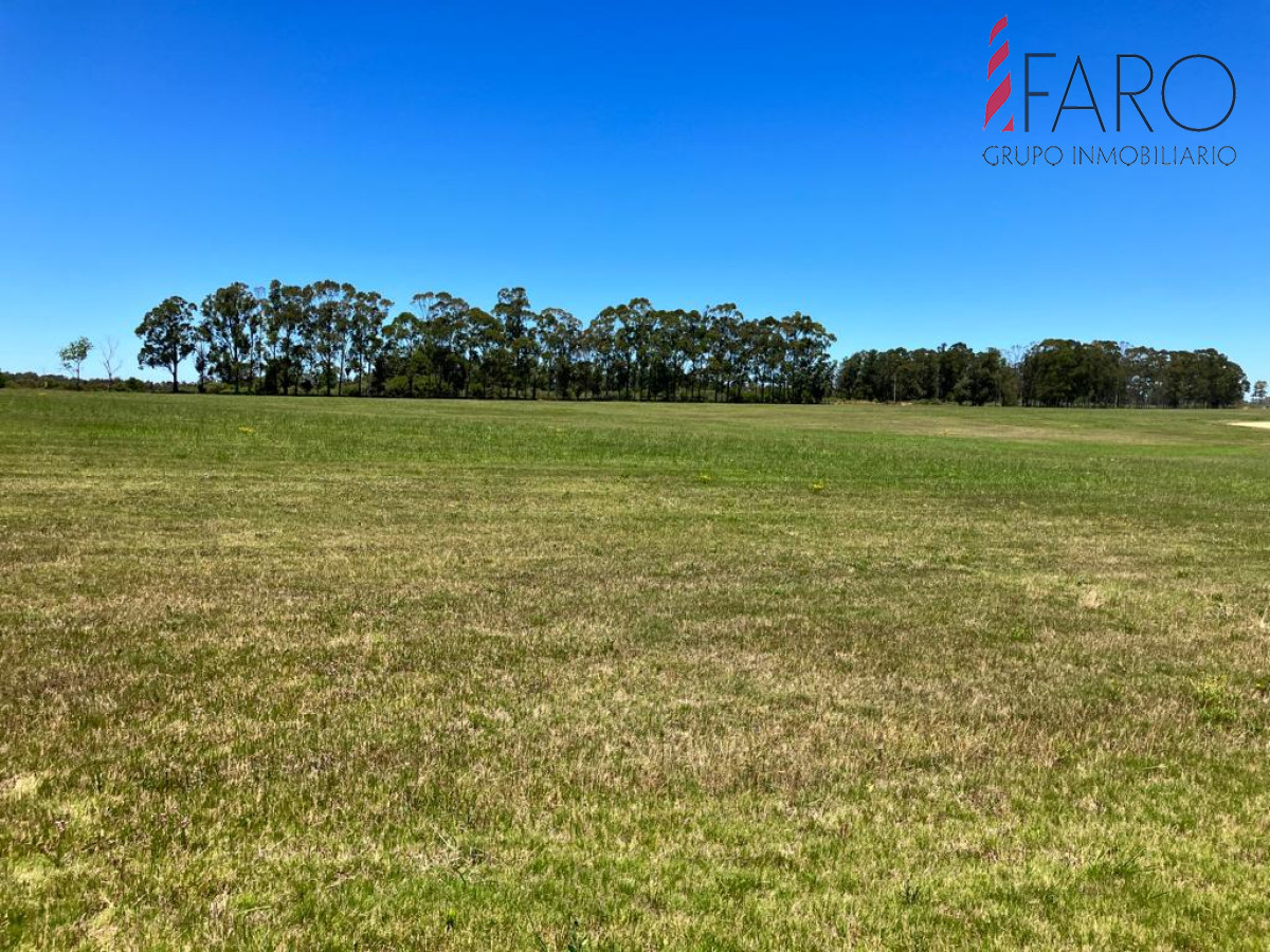 Laguna de los Cisnes - GoPunta - Portal Inmobiliario de Punta del Este - Maldonado