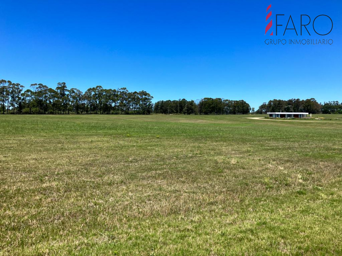 Laguna de los Cisnes - GoPunta - Portal Inmobiliario de Punta del Este - Maldonado