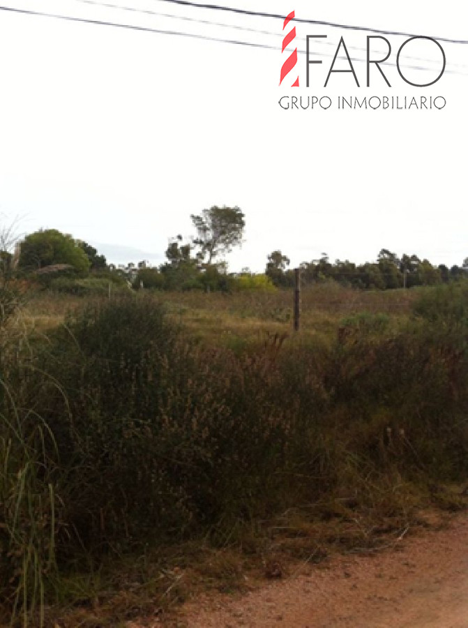 Balneario Buenos Aires - GoPunta - Portal Inmobiliario de Punta del Este - Maldonado