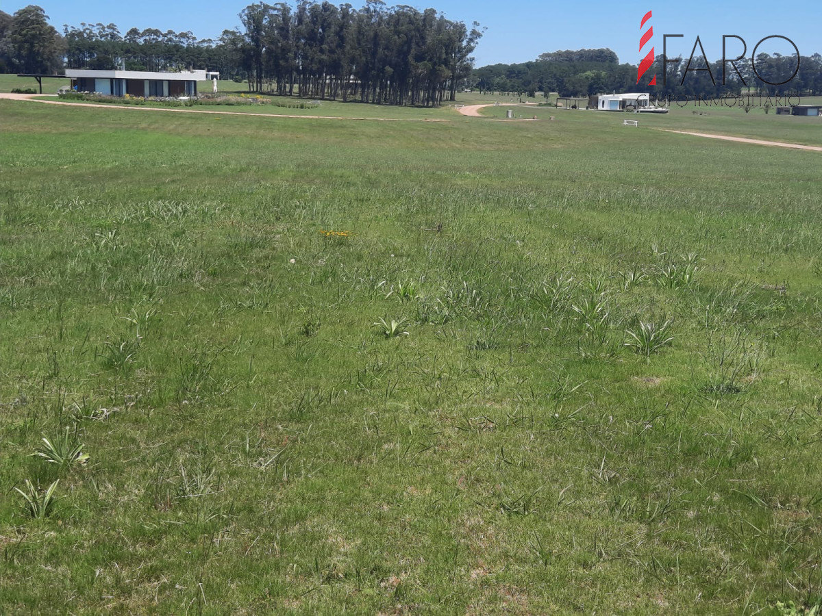 Laguna de los Cisnes - GoPunta - Portal Inmobiliario de Punta del Este - Maldonado