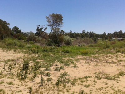 Terrenos en Balneario Buenos Aires 1350 m2 en total