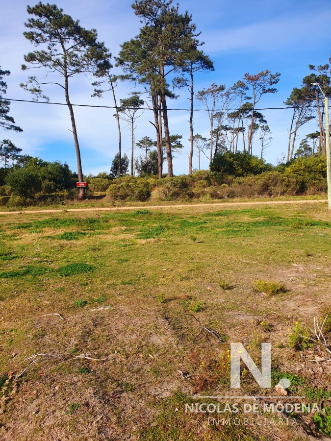 Golf - GoPunta - Portal Inmobiliario de Punta del Este - Maldonado