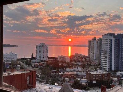 OPORTUNIDAD VENTA APTO BRAVA FRENTE AL MAR 1 dormitorio