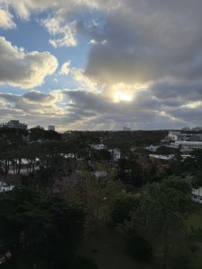 Venta departamento 1 dormitorio, Punta del Este