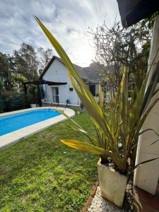 La Barra, El Tesoro, casa en venta y alquiler de verano, 3 dormitorios, piscina climatizada