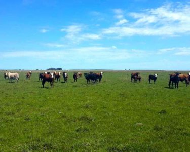 Campo con excelente acceso próximo Aiguá