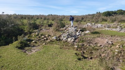 100 hectáreas en Las Flores Ruta Interbalnearia