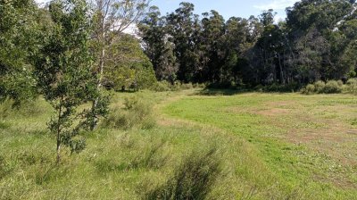 Venta 2 Lotes Eden Rock frente a cancha de polo 