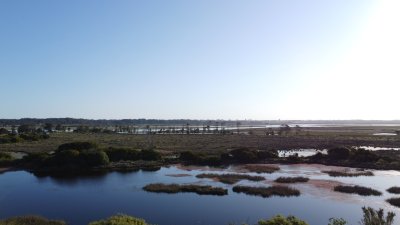 2 padrones-1200m2-Primera Línea