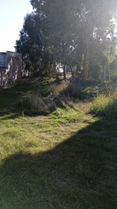 Balneario Buenos Aires, terreno en venta calle 30. Alto y pronto para edificar.