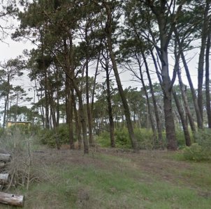 OPORTUNIDAD TERRENO EN VENTA EN MONTOYA 455 M2