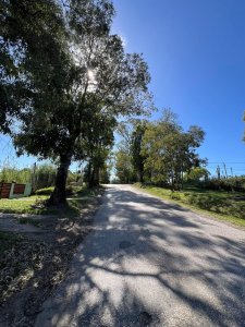 Terreno en venta sobre Av principal, El Tesoro.