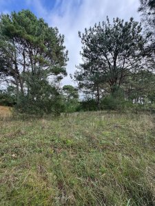Venta de Terreno en La Barra, 1666 Metros cuadrados