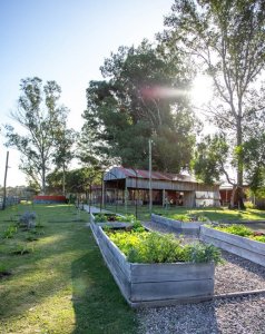 Venta Lote DOn Miguel La Barra 