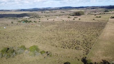 Venta de Chacra de 5 hectáreas a 15 Kilómetros del Mar en en Pan de Azúcar Maldonado C965