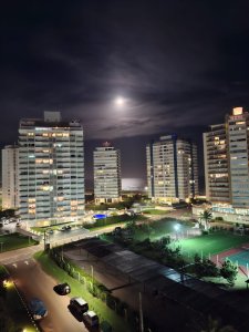 APARTAMENTO DE 1 DORMITORIO CON VISTA AL MAR