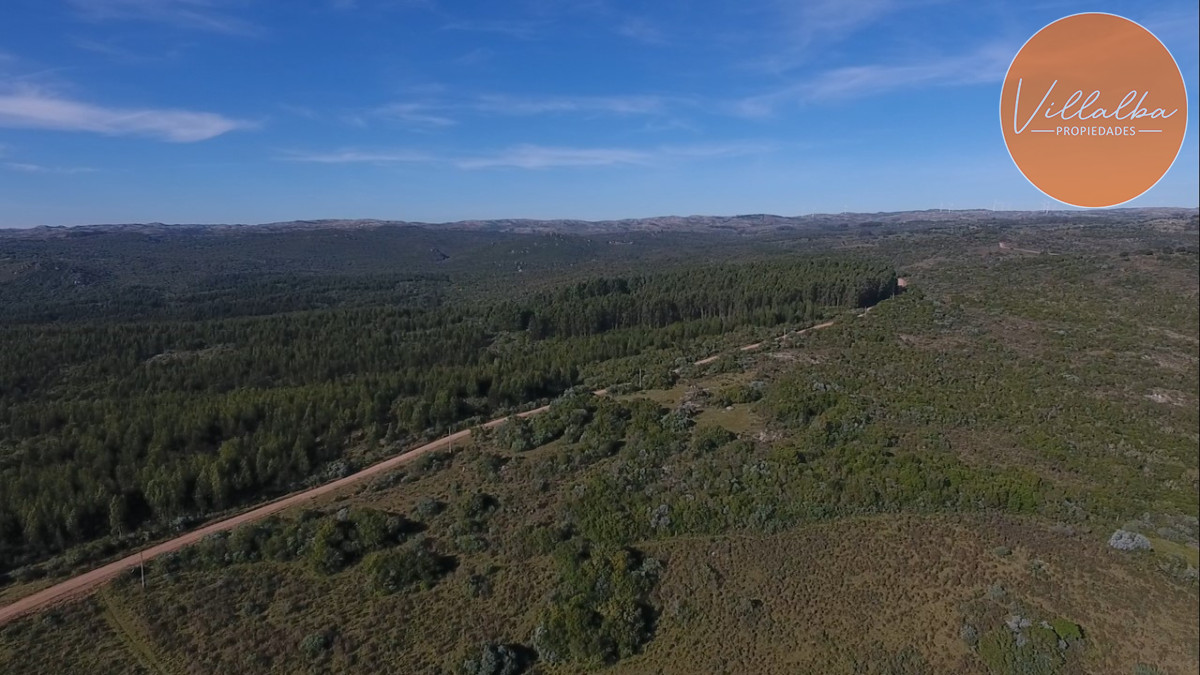 Propiedad - GoPunta - Portal Inmobiliario de Punta del Este - Maldonado