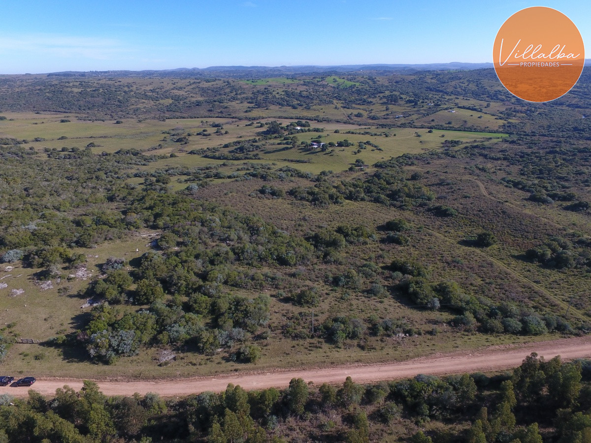 Propiedad - GoPunta - Portal Inmobiliario de Punta del Este - Maldonado