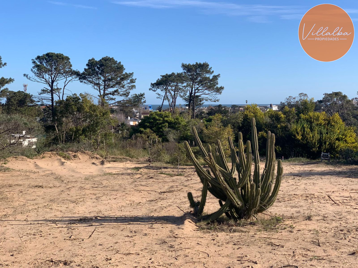 La Barra - GoPunta - Portal Inmobiliario de Punta del Este - Maldonado