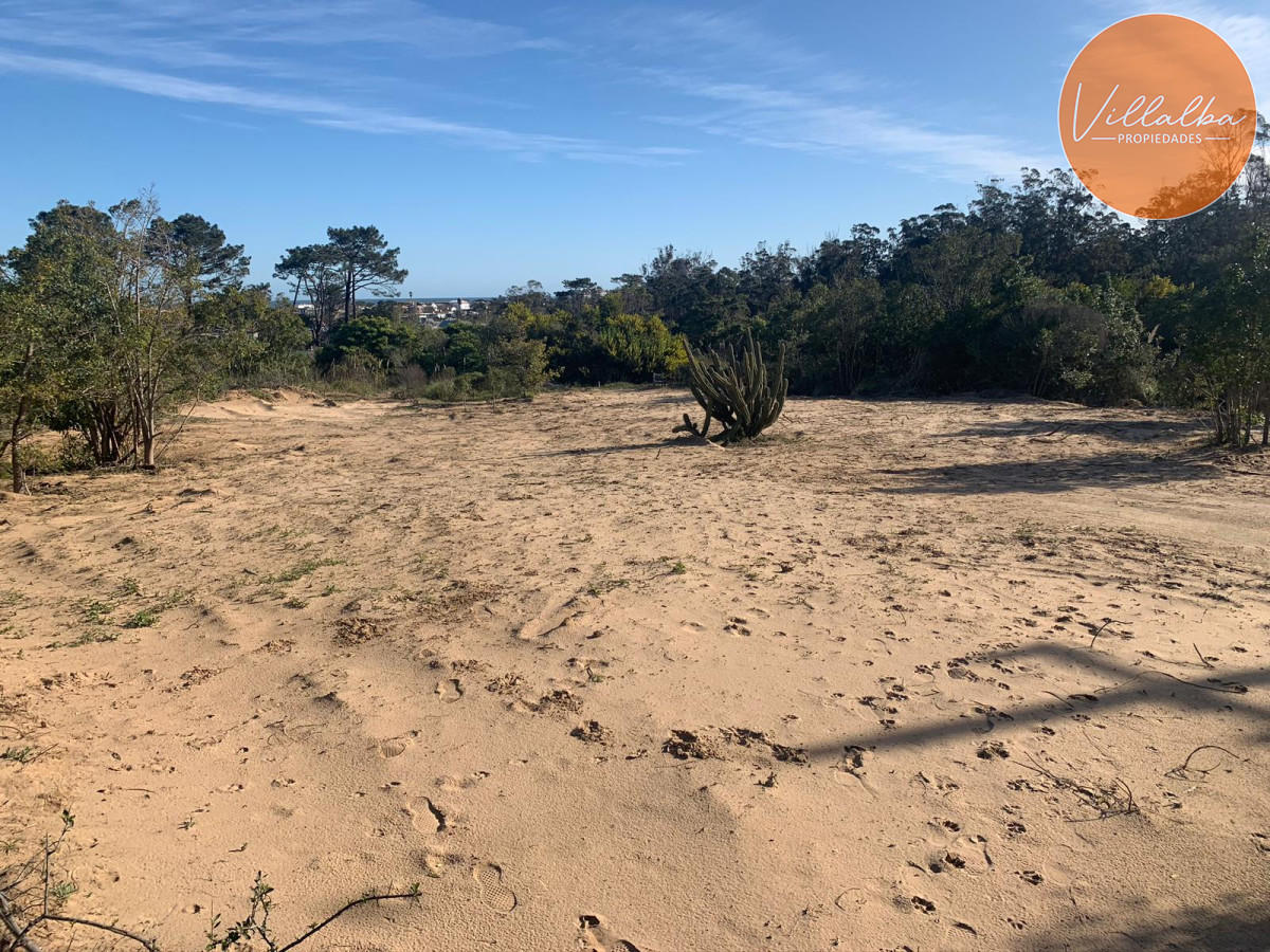La Barra - GoPunta - Portal Inmobiliario de Punta del Este - Maldonado