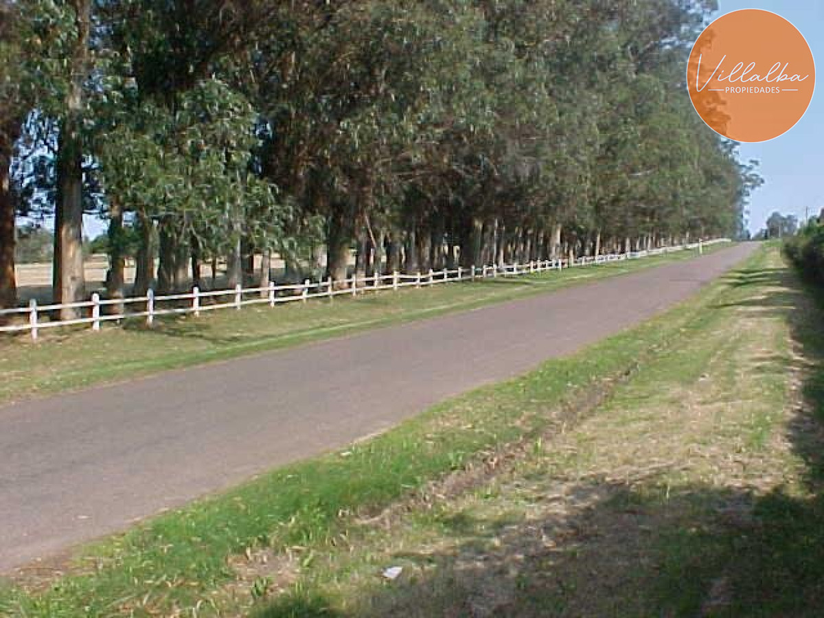 Camino Eguzquiza - GoPunta - Portal Inmobiliario de Punta del Este - Maldonado