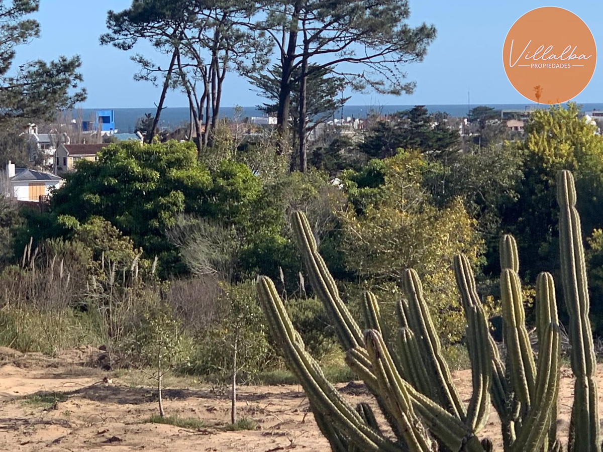 La Barra - GoPunta - Portal Inmobiliario de Punta del Este - Maldonado