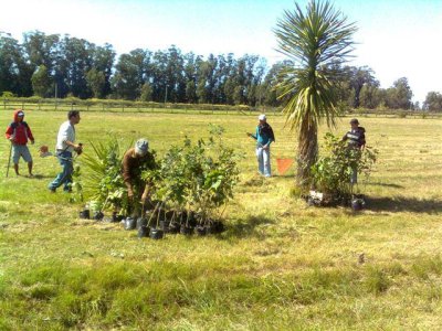 Terrenos en Alto de la Barra