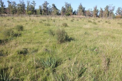 Oportunidad Terrenos en Alto de la Barra