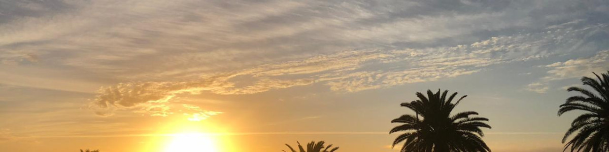Vive el Encanto del Mar en la Península de Punta del Este

Descubre este exclusivo apartamento frente al mar, donde la brisa marina y las vistas panorámicas se convierten en parte de tu día a día. Ubicado en la codiciada Península, este espacio ofrece un estilo de vida inigualable.

Características de la Propiedad:
- 3 Dormitorios + 2 baños completos: Espaciosos y luminosos, ideales para disfrutar en familia o recibir amigos.
- 1 Suite: Un refugio privado con baño en suite, pensado para tu confort.
- Cocina Completa: Equipamiento moderno que invita a crear deliciosas comidas.
- Living Comedor: Un ambiente acogedor y elegante, perfecto para relajarse o compartir momentos especiales. Vista al Mar
- Servicio de Mucamas diario para que cada detalle de tu hogar esté siempre impecable.

No pierdas la oportunidad de vivir en uno de los destinos más emblemáticos de la costa uruguaya. Consulta con nuestros asesores.