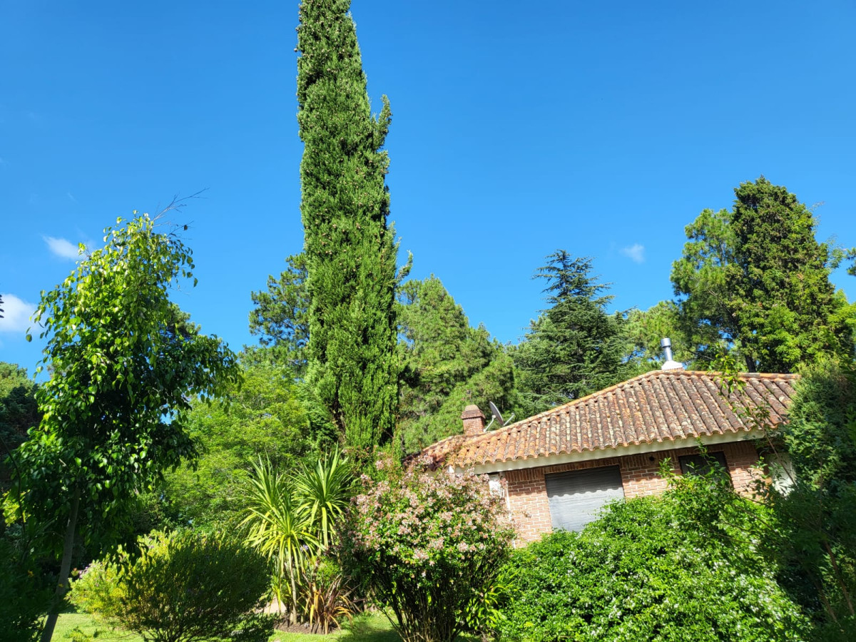 Chalet soñado en Laguna del Sauce
Descubre esta espectacular propiedad en un entorno natural privilegiado, ubicada en Laguna del Sauce, con un extenso parque de 3038 m² y una construcción impecable de 302 m².
La casa ha sido renovada completamente, ofreciendo un estilo moderno y elegante:
Living comedor: Espacioso y luminoso, con pisos nuevos, calefacción de piso radiante, estufa a leña, dos aires acondicionados inverter de última generación y prácticos placares diseñados para almacenamiento de loza, mantelería y biblioteca.
Cocina funcional de época: equipada con isla central, placares amplios y un diseño práctico y sofisticado.
Distribución: Cuatro dormitorios distribuidos en dos sectores opuestos de la casa para mayor privacidad. Uno de ellos cuenta con baño en suite con jacuzzi, vestidor amplio y el otro con bañera.
Hall de entrada amplio: Con baño social, perfecto para recibir a tus invitados.
En el nivel inferior:
Garaje doble con capacidad para dos autos, e instalación eléctrica con dos tomas para autos eléctricos.
Cava de vinos: Climatizada con aire acondicionado.
Lavadero independiente.
Pequeño apartamento: Con dormitorio y baño, ideal para huéspedes o personal de servicio.
La electricidad de toda la propiedad ha sido renovada a nuevo, al igual que el mobiliario, asegurando comodidad y funcionalidad.
Un parque que enamora:
El terreno cuenta con árboles centenarios como robles, cedros y pinos, que crean un entorno mágico, con abundante sombra y rincones perfectos para el descanso y la recreación.
Esta propiedad única combina naturaleza, comodidad y diseño, en una ubicación excepcional. ¡No pierdas la oportunidad de vivir en tu casa ideal!
Para mas información o coordinar una visita, consulte con nuestros asesores.